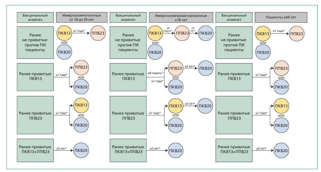 Вакцинация взрослых групп риска Вакцинация взрослых групп риска