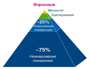 Клинические формы пневмококковой инфекции у взрослых Клинические формы пневмококковой инфекции у взрослых